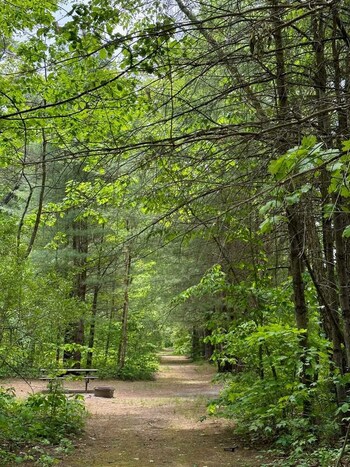 Dingmans Campground (Dingmans Ferry, PA) 50% off non-Saturday stays
