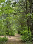 Dingmans Campground (Dingmans Ferry, PA) 50% off non-Saturday stays