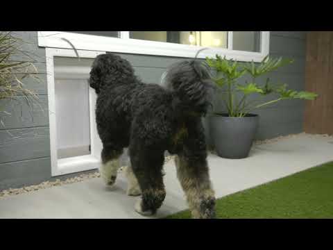 High Tech Pet Unveils the Power Pet Roll-Up Door™: Fully Automatic, WiFi-Enabled, Smart Pet Door for Modern Homes