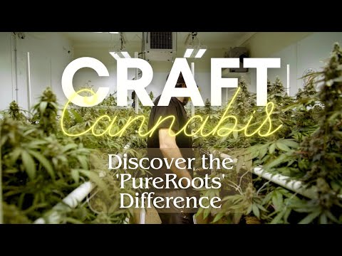 Pure Roots Botanicals Expands Cannabis Operations with New Manufacturing Facility in Monroe, NC