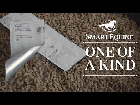 SmartPak Rebrands as SmartEquine, Reinforcing Commitment to Comprehensive Horse Health and Wellness