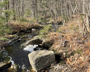 Leading Impact Investment Firm Conservation Resources Adds 22,756 Acres to its Timberland Portfolio